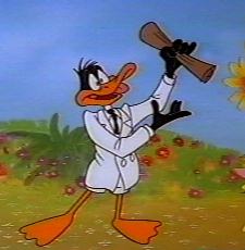 Daffy Duck A L'Orange